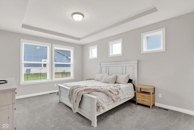 15744 Kohut Ln, Westfield, IN 46074 - bedroom featuring a tray ceiling and light carpet