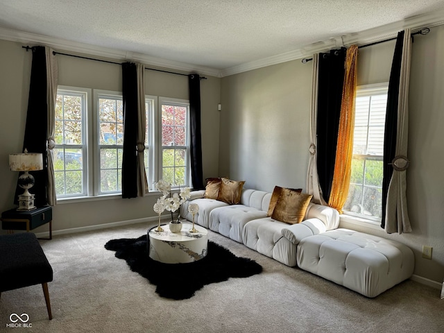 12583 Courage Xing, Fishers, IN 46037 - carpeted living area with ornamental molding and a textured ceiling