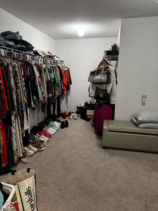 12583 Courage Xing, Fishers, IN 46037 - walk in closet featuring carpet floors