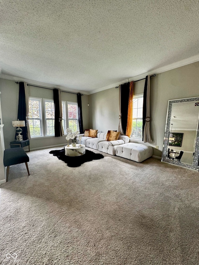 12583 Courage Xing, Fishers, IN 46037 - carpeted living room featuring a textured ceiling, plenty of natural light, and ornamental molding