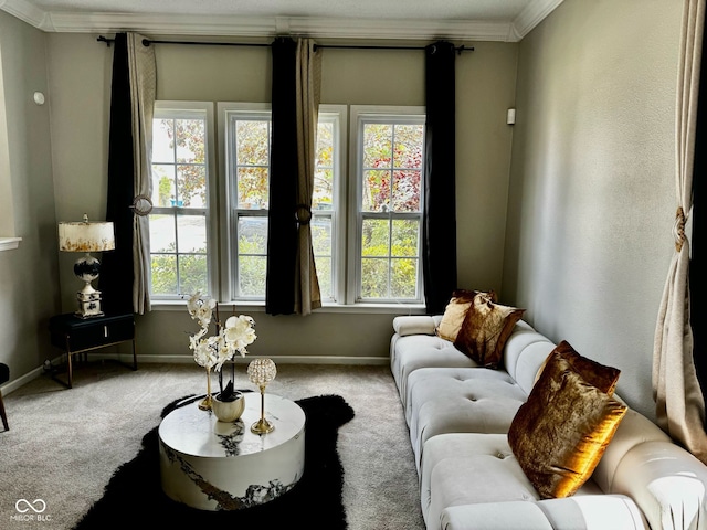12583 Courage Xing, Fishers, IN 46037 - living room featuring carpet flooring and crown molding