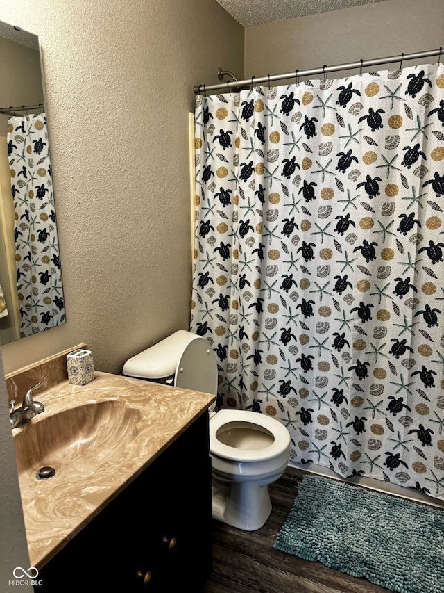 12583 Courage Xing, Fishers, IN 46037 - bathroom featuring vanity, a textured wall, wood finished floors, and curtained shower