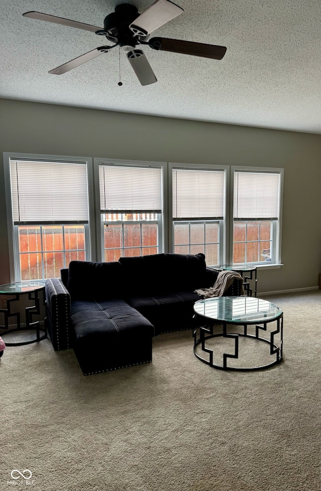 12583 Courage Xing, Fishers, IN 46037 - carpeted living area featuring a textured ceiling and ceiling fan