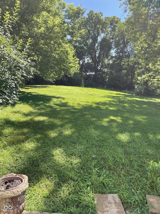 1433 S Morgantown Rd, Greenwood, IN 46143 - view of green lawn