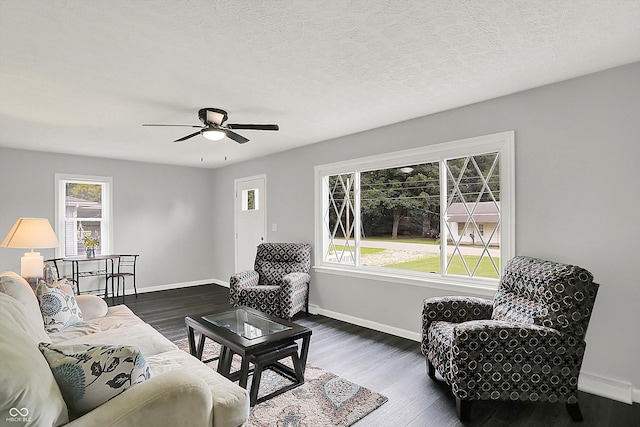 3664 S 550 E, Franklin, IN 46131 - living room featuring plenty of natural light, a ceiling fan, and wood finished floors