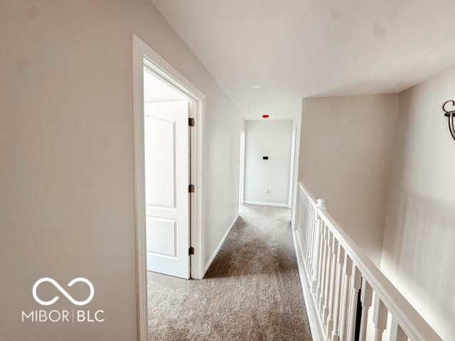 18879 Monarch Springs Dr, Noblesville, IN 46060 - photo 26
