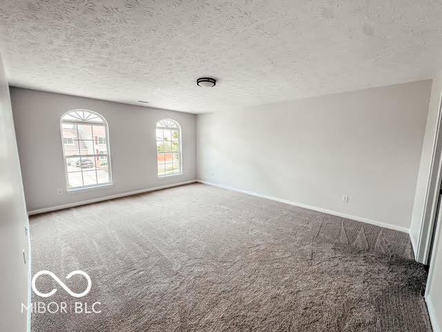 18879 Monarch Springs Dr, Noblesville, IN 46060 - photo 36