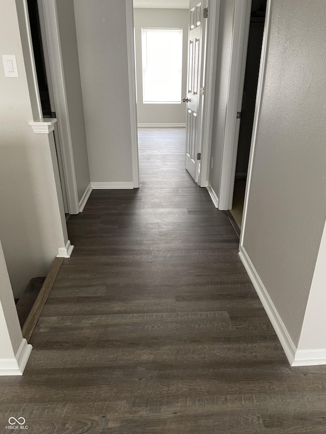 9701 W Constellation Dr, Pendleton, IN 46064 - corridor with baseboards and dark wood-style flooring