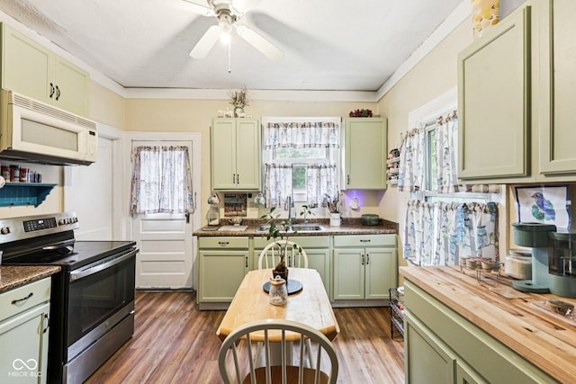 2933 S E St, Indianapolis, IN 46225 - kitchen featuring green cabinets, electric range, white microwave, wooden counters, and plenty of natural light