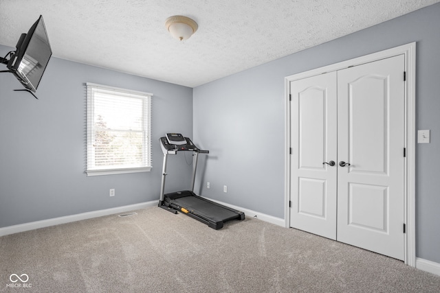 2025 W Morse Dr, Cicero, IN 46034 - exercise area featuring carpet flooring and a textured ceiling