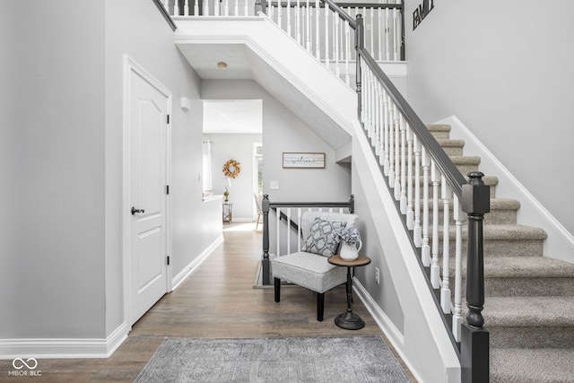 2025 W Morse Dr, Cicero, IN 46034 - staircase featuring wood finished floors and a towering ceiling