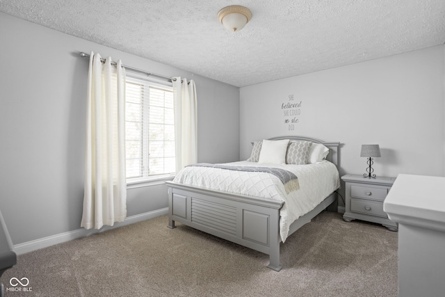 2025 W Morse Dr, Cicero, IN 46034 - carpeted bedroom with a textured ceiling and baseboards