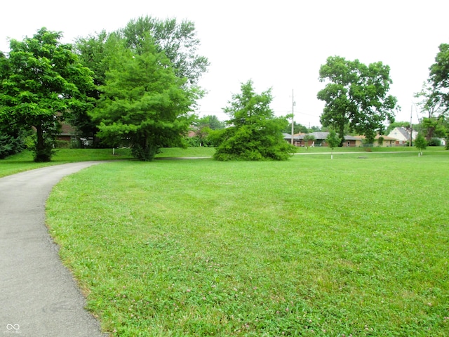6808 Summer Time Dr, Indianapolis, IN 46226 - view of green lawn