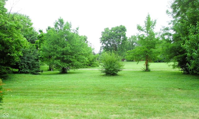 6808 Summer Time Dr, Indianapolis, IN 46226 - view of green lawn