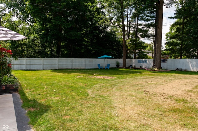 1144 W 73rd St, Indianapolis, IN 46260 - photo 16