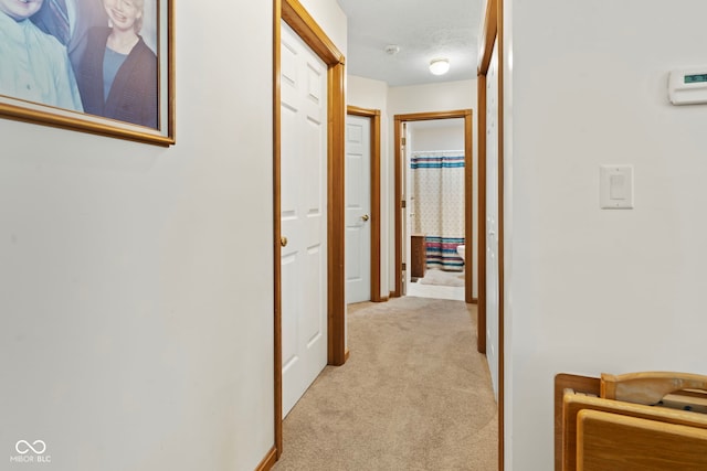 1044 Miller St, Clinton, IN 47842 - corridor featuring light colored carpet