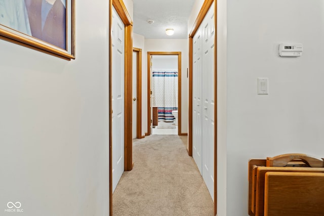 1044 Miller St, Clinton, IN 47842 - corridor with light carpet