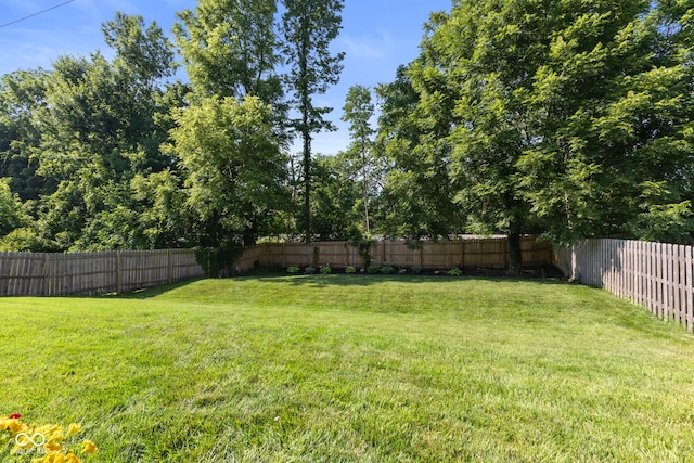 7009 Thousand Oaks Ln, Indianapolis, IN 46214 - view of fenced backyard