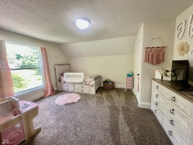513 N Main St, Veedersburg, IN 47987 - bedroom with carpet, a textured ceiling, and lofted ceiling