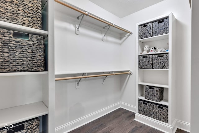 11354 Redwing Ct, Fishers, IN 46037 - spacious closet featuring dark wood-style floors