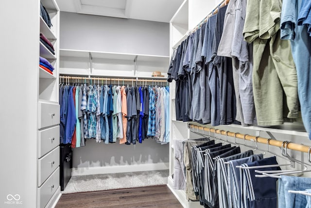 11354 Redwing Ct, Fishers, IN 46037 - spacious closet with wood finished floors