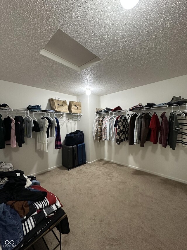2964 Sentiment Ln, Greenwood, IN 46143 - spacious closet featuring carpet