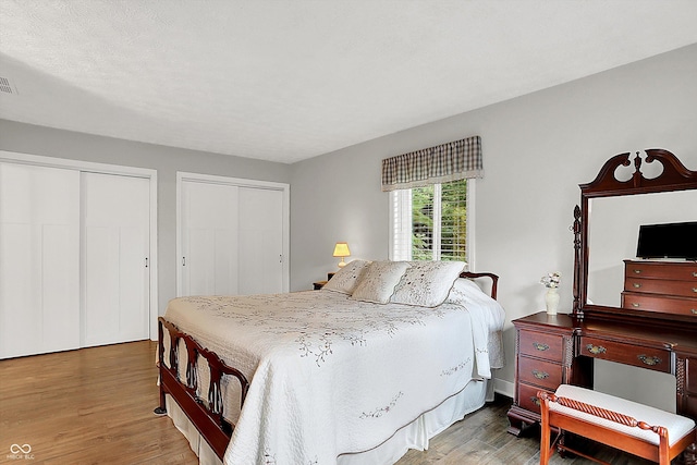 3280 E 300 S, Greenfield, IN 46140 - bedroom with multiple closets and wood finished floors