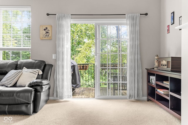 866 Rosalind Pl, Carmel, IN 46032 - sitting room featuring carpet flooring