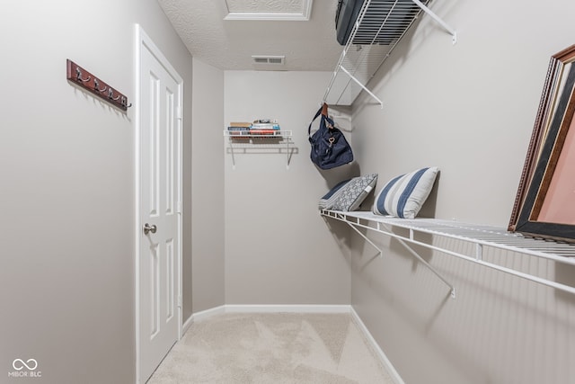 866 Rosalind Pl, Carmel, IN 46032 - walk in closet with carpet floors
