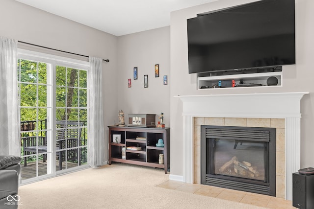866 Rosalind Pl, Carmel, IN 46032 - living room with a fireplace and carpet