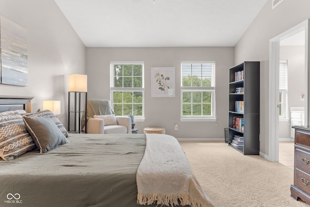 866 Rosalind Pl, Carmel, IN 46032 - carpeted bedroom with ensuite bathroom and vaulted ceiling