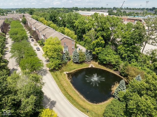 866 Rosalind Pl, Carmel, IN 46032 - bird's eye view of a nearby body of water