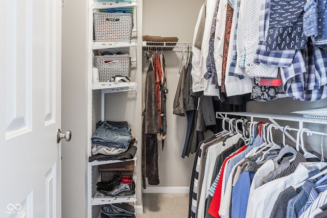 866 Rosalind Pl, Carmel, IN 46032 - view of walk in closet