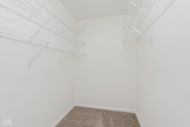 12291 Cobblestone Dr, Fishers, IN 46037 - view of walk in closet