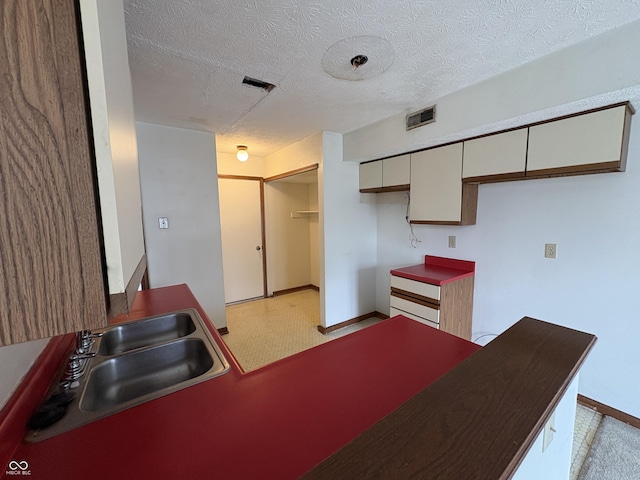 6458 Watham Ct, Indianapolis, IN 46250 - kitchen featuring a sink and a textured ceiling