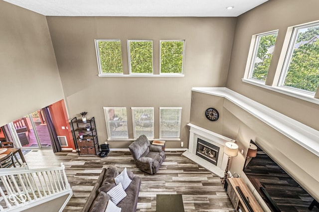 12034 Gatwick View Dr, Fishers, IN 46037 - living area featuring wood finished floors, a glass covered fireplace, and a towering ceiling