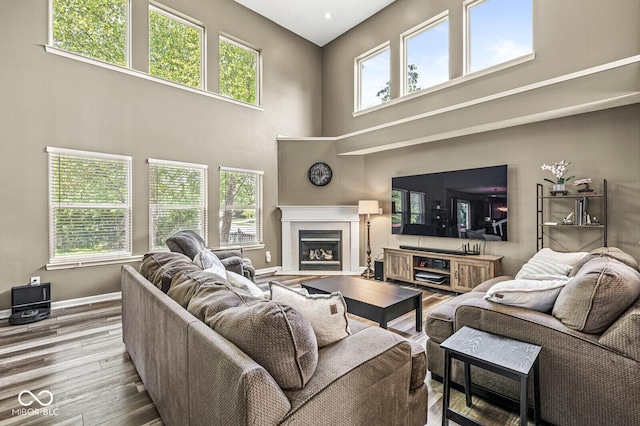 12034 Gatwick View Dr, Fishers, IN 46037 - living area with a high ceiling, wood finished floors, and a glass covered fireplace