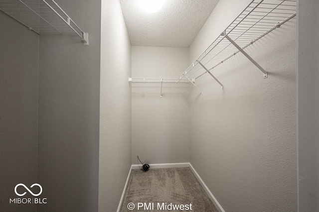 19496 Prairie Crossing Dr, Noblesville, IN 46062 - photo 22