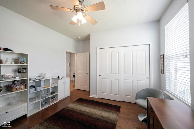 12985 Merlot Ln, Fishers, IN 46037 - office space with healthy amount of natural light, ceiling fan, and dark wood-style floors