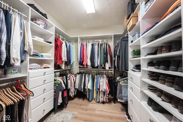 12985 Merlot Ln, Fishers, IN 46037 - spacious closet with wood finished floors