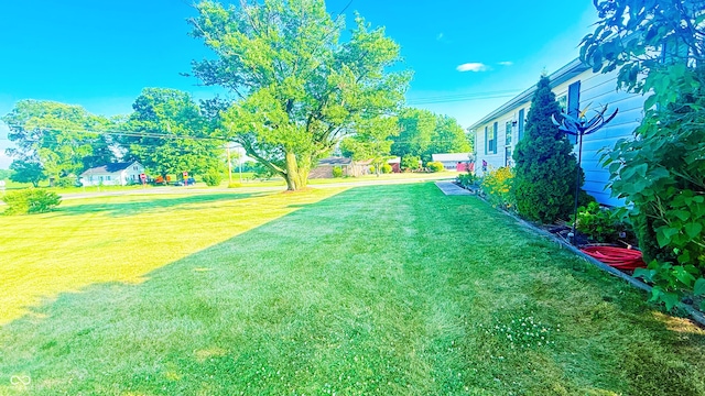5964 E 250 N, Greenfield, IN 46140 - view of green lawn