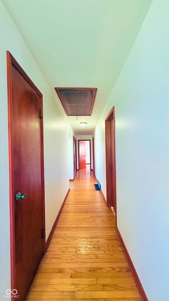 5964 E 250 N, Greenfield, IN 46140 - hallway featuring attic access and light wood-style floors