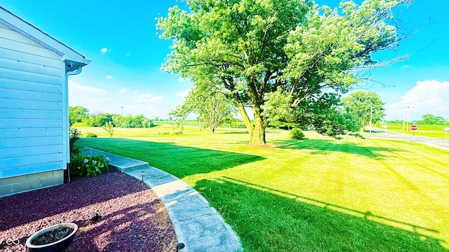 5964 E 250 N, Greenfield, IN 46140 - view of green lawn