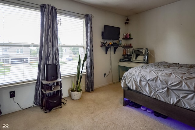 14521 Stewart Cir, Fishers, IN 46038 - view of carpeted bedroom
