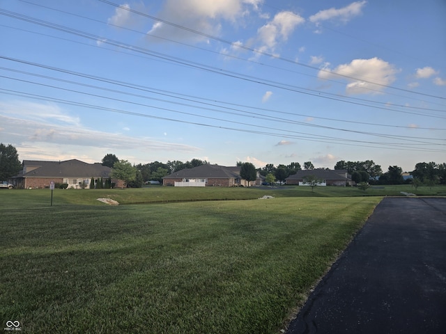 5333 Thornridge Pl, Indianapolis, IN 46237 - view of green lawn
