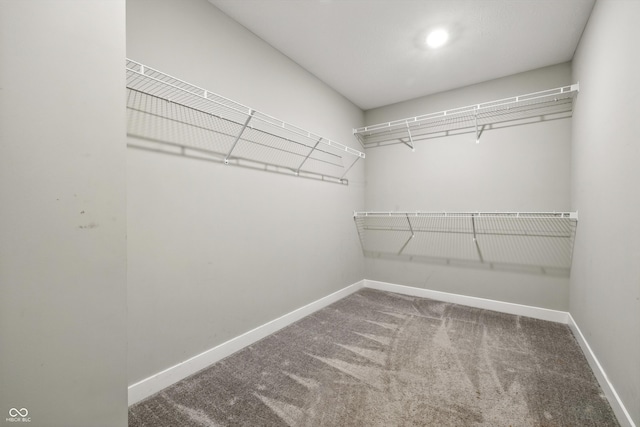 7225 Lockford S, Avon, IN 46123 - spacious closet featuring carpet floors