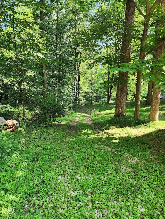 6774 S Becks Grove Rd, Freetown, IN 47235 - view of local wilderness