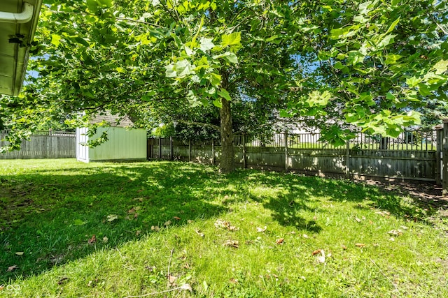12956 Shandon Ln, Fishers, IN 46038 - fenced backyard featuring a shed