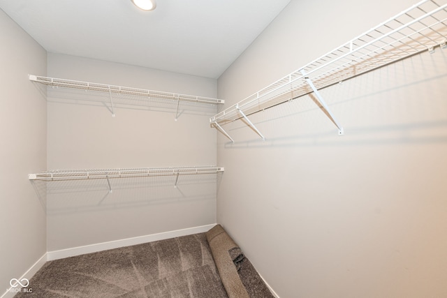 2234 S Bingham Pl, New Palestine, IN 46163 - spacious closet featuring carpet