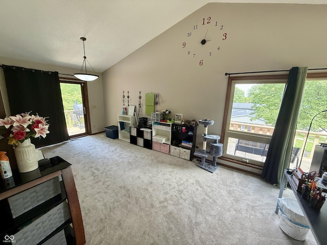 910 Ranch Rd, Connersville, IN 47331 - living room with vaulted ceiling and carpet
